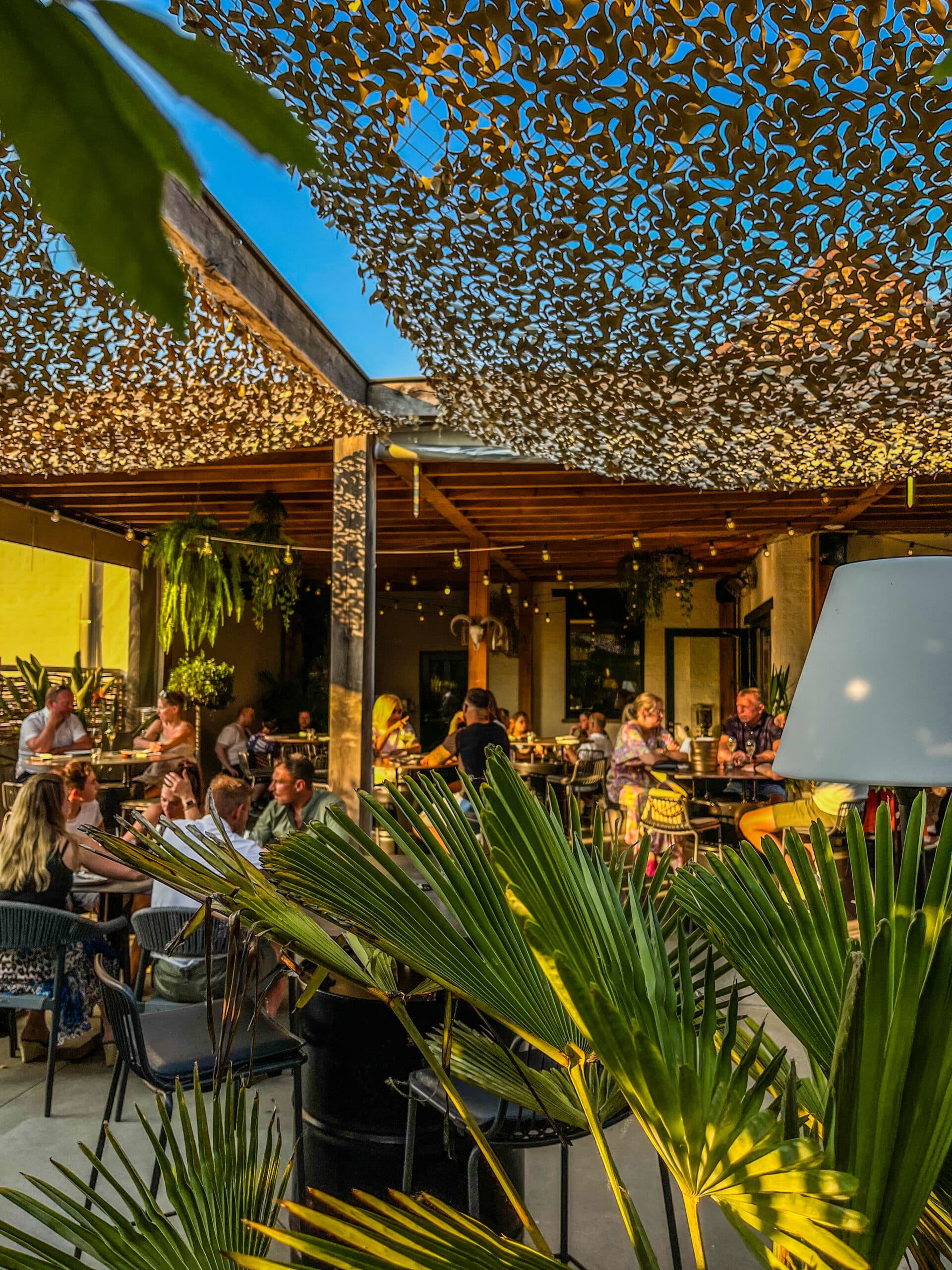 zuiders terras